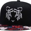 hip hop style cap