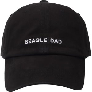 the classics dad hat