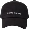 classics dad hat