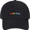 the classics dad hat