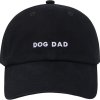 classics dad hat