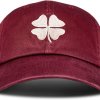 embroidered fitted ball cap